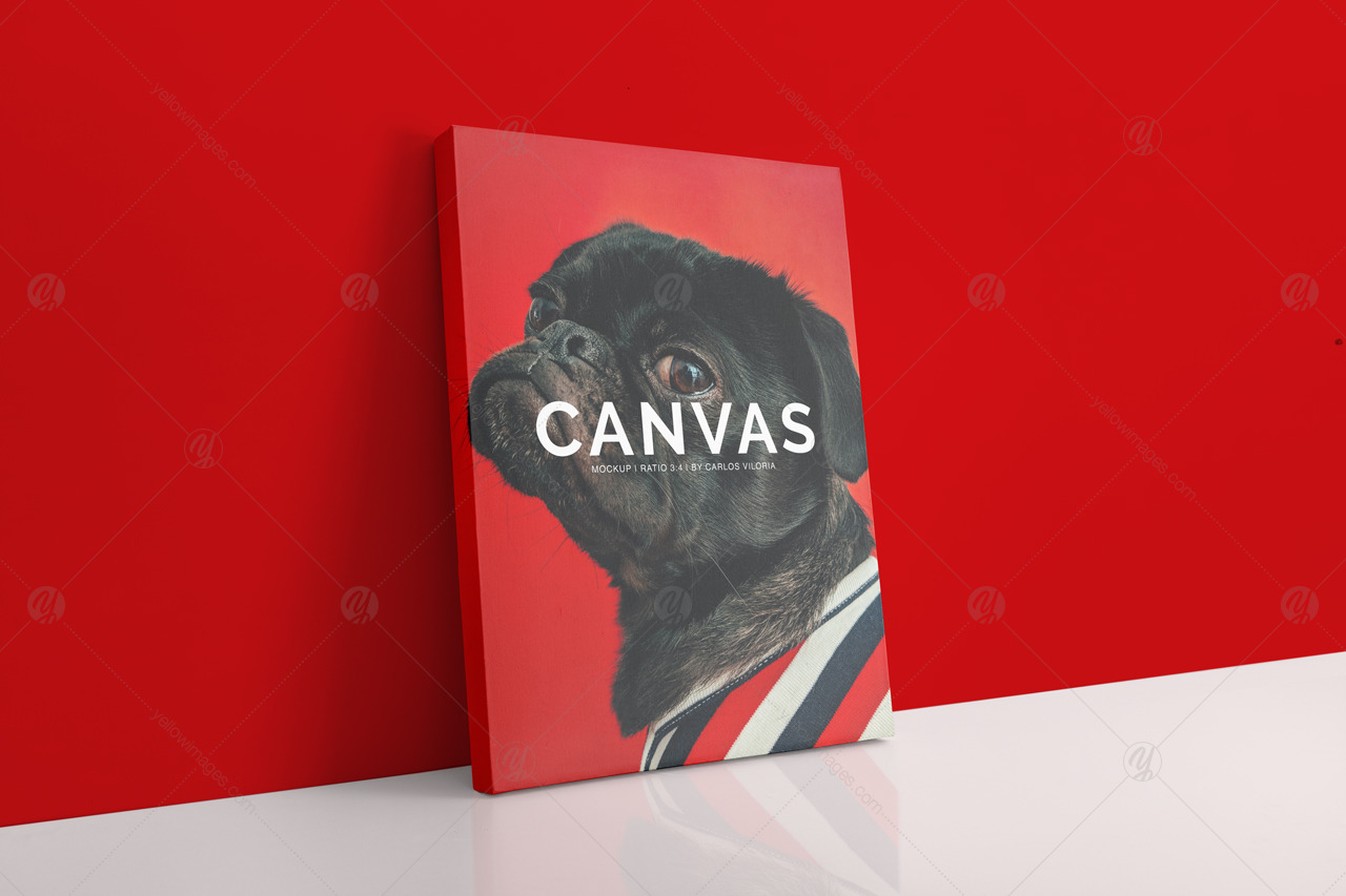 Portrait Canvas Ratio 3x4 Mockup 04