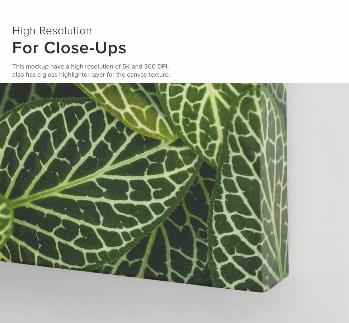 Square Canvas Ratio 1x1 Mockup 01 Square Canvas Ratio 1x1 Mockup 01