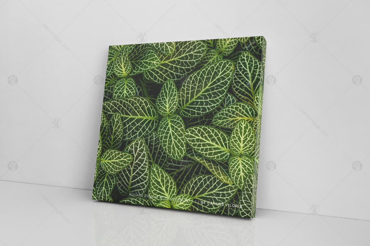 Square Canvas Ratio 1x1 Mockup 03 Square Canvas Ratio 1x1 Mockup 03