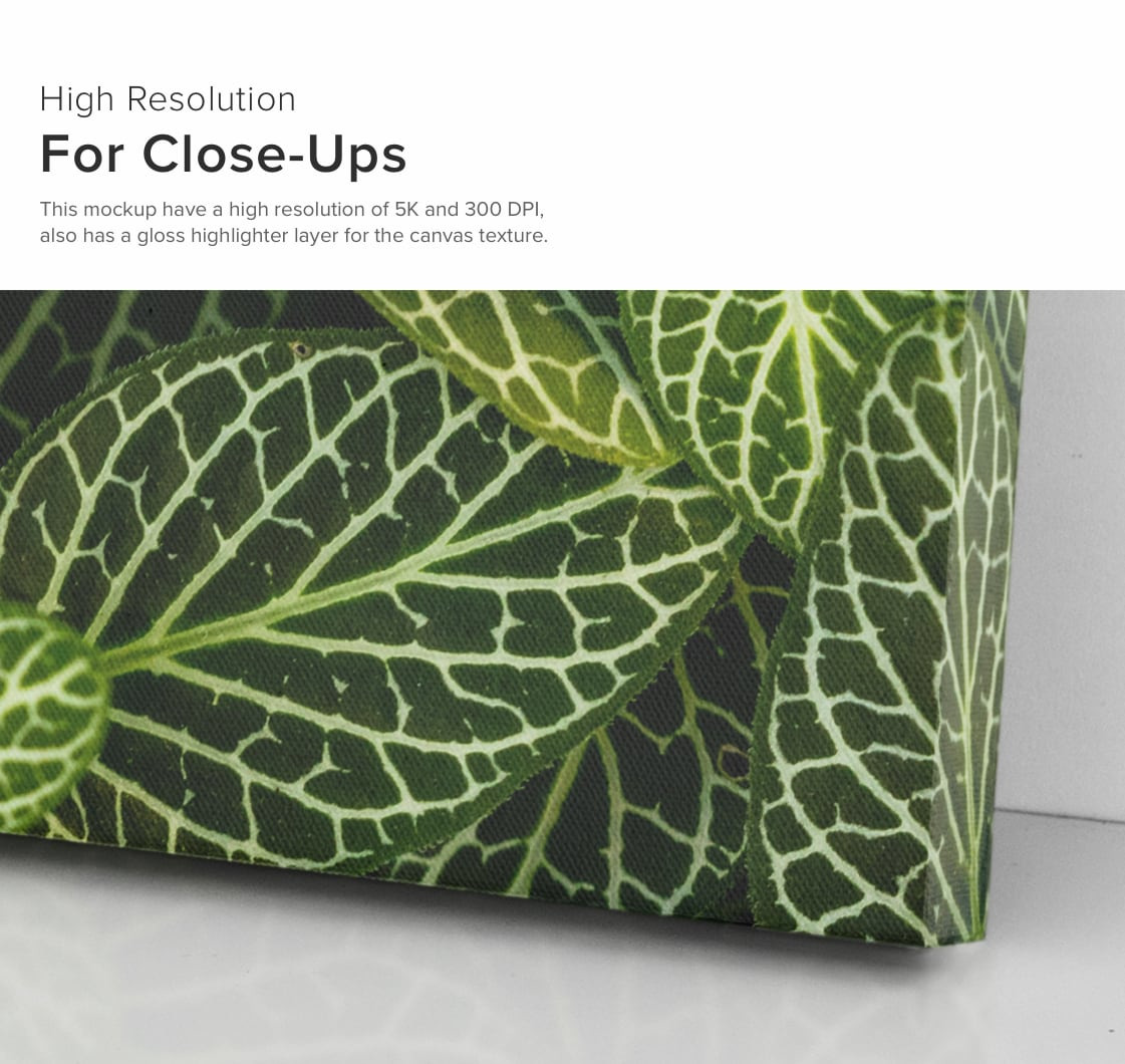 Square Canvas Ratio 1x1 Mockup 03 Square Canvas Ratio 1x1 Mockup 03