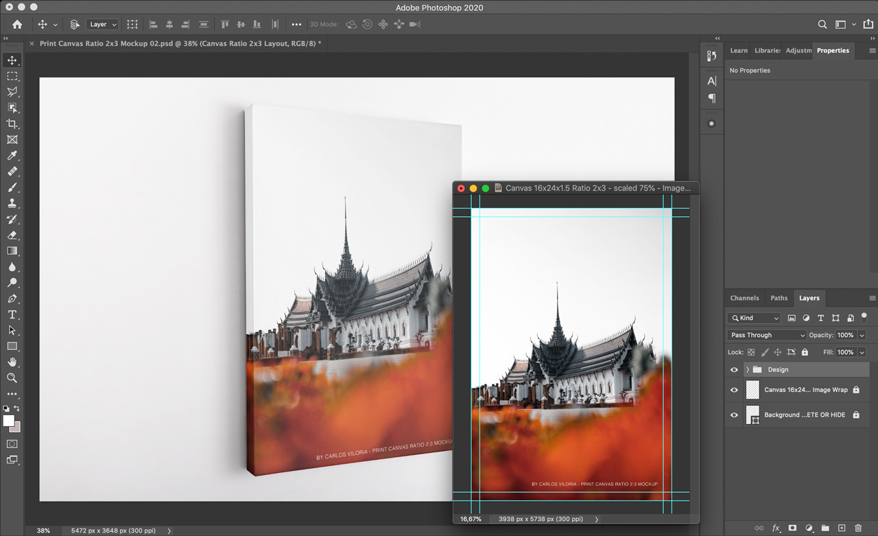 Portrait Canvas Ratio 2x3 Mockup 02