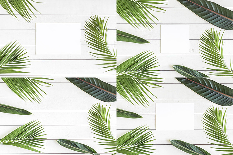 Palm Dreams Bundle Mockups Palm Dreams Bundle Mockups