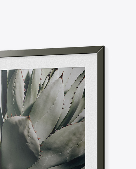 Matte Photo Frame Mockup