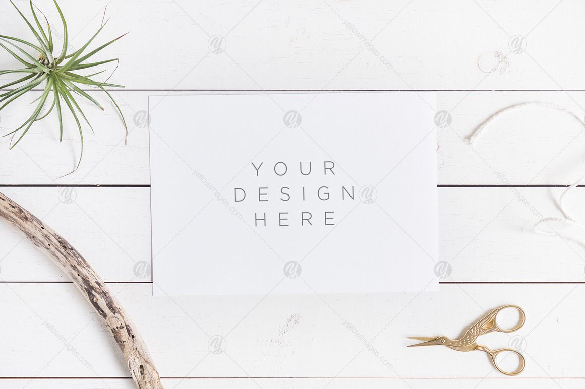 Mockups Giant Bundle - JPG PNG PSD Mockups Giant Bundle - JPG PNG PSD