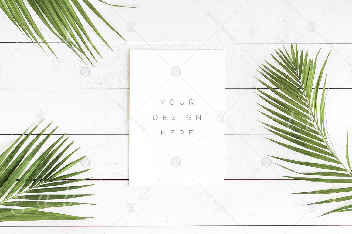Mockups Giant Bundle - JPG PNG PSD Mockups Giant Bundle - JPG PNG PSD