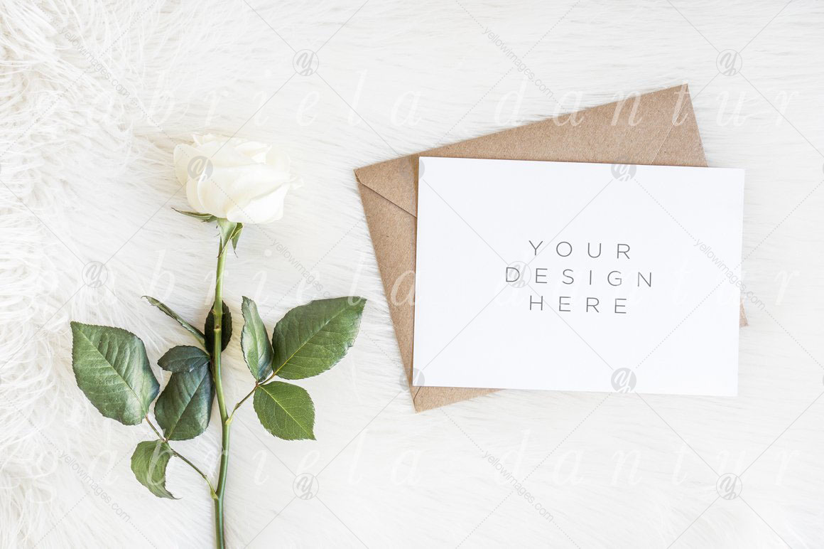 Mockups Giant Bundle - JPG PNG PSD Mockups Giant Bundle - JPG PNG PSD