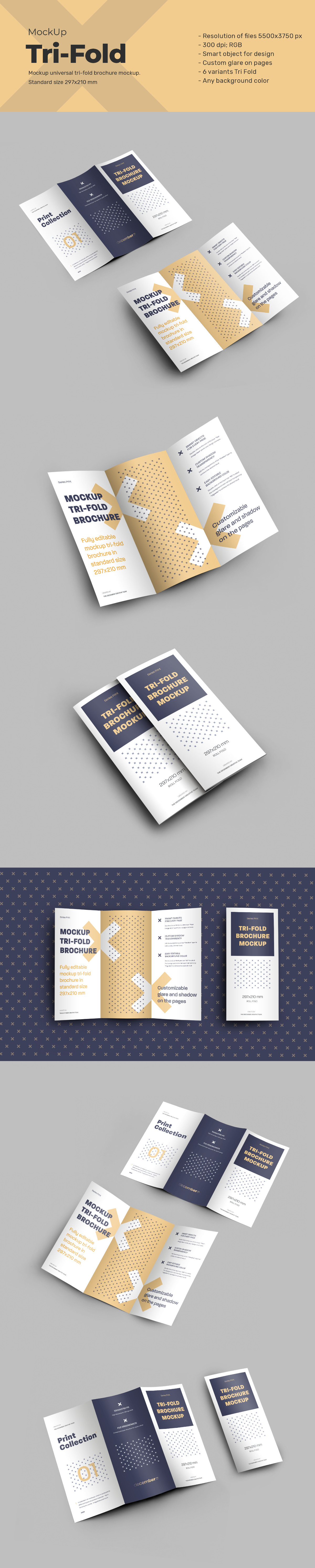 6 Mockups Leafleat DL Trifold Brochure