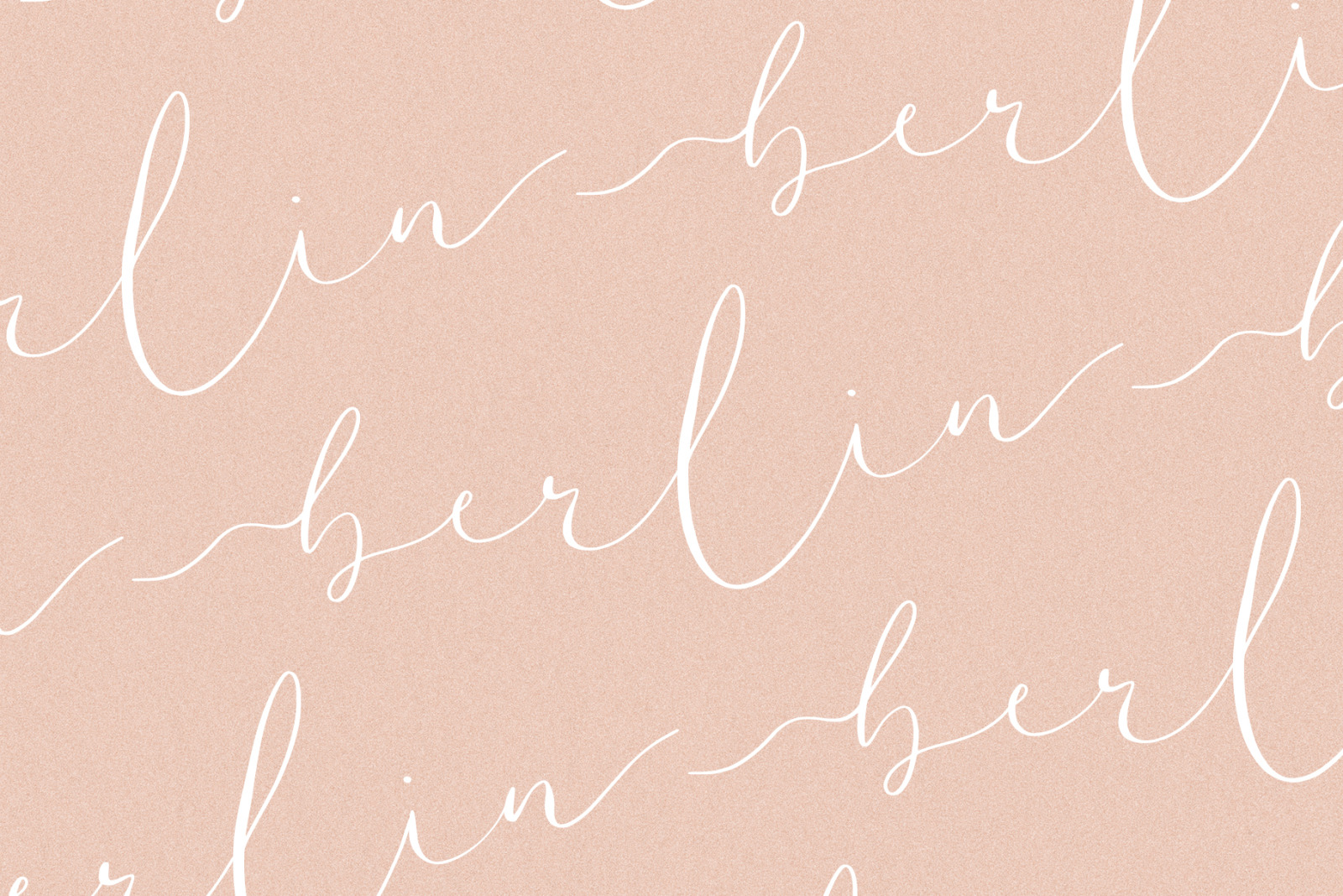 Amelie - Chic & Elegant Script Font Amelie - Chic & Elegant Script Font
