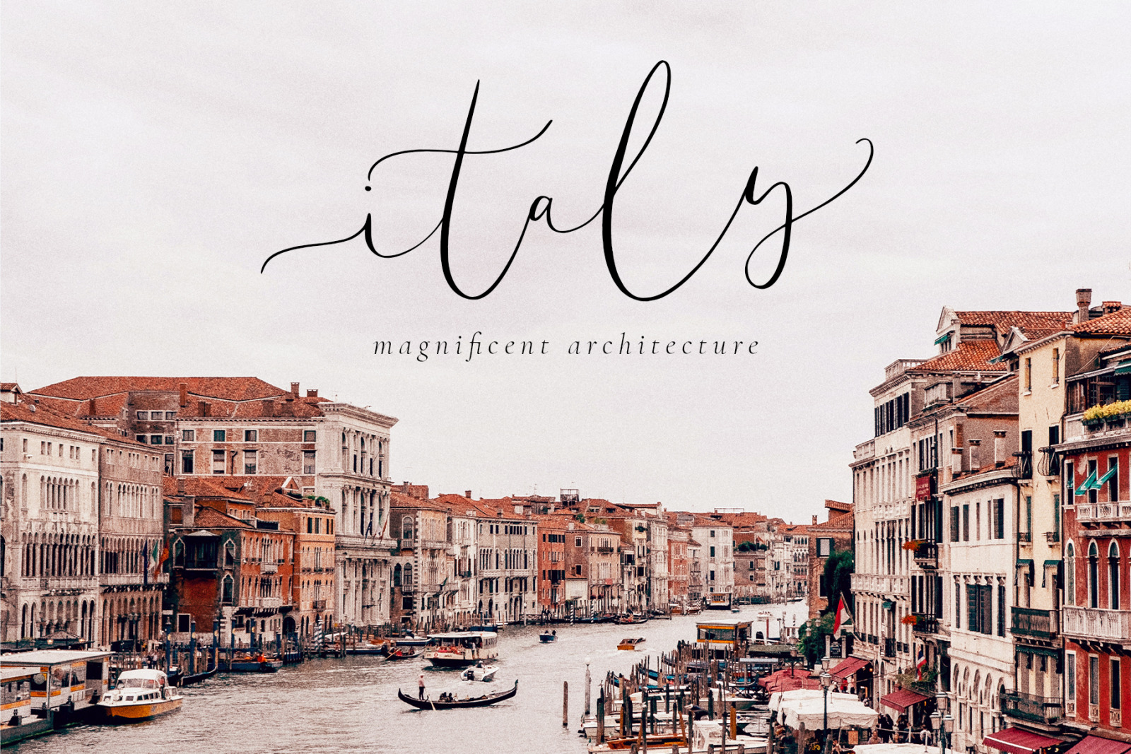 Amelie - Chic &amp; Elegant Script Font