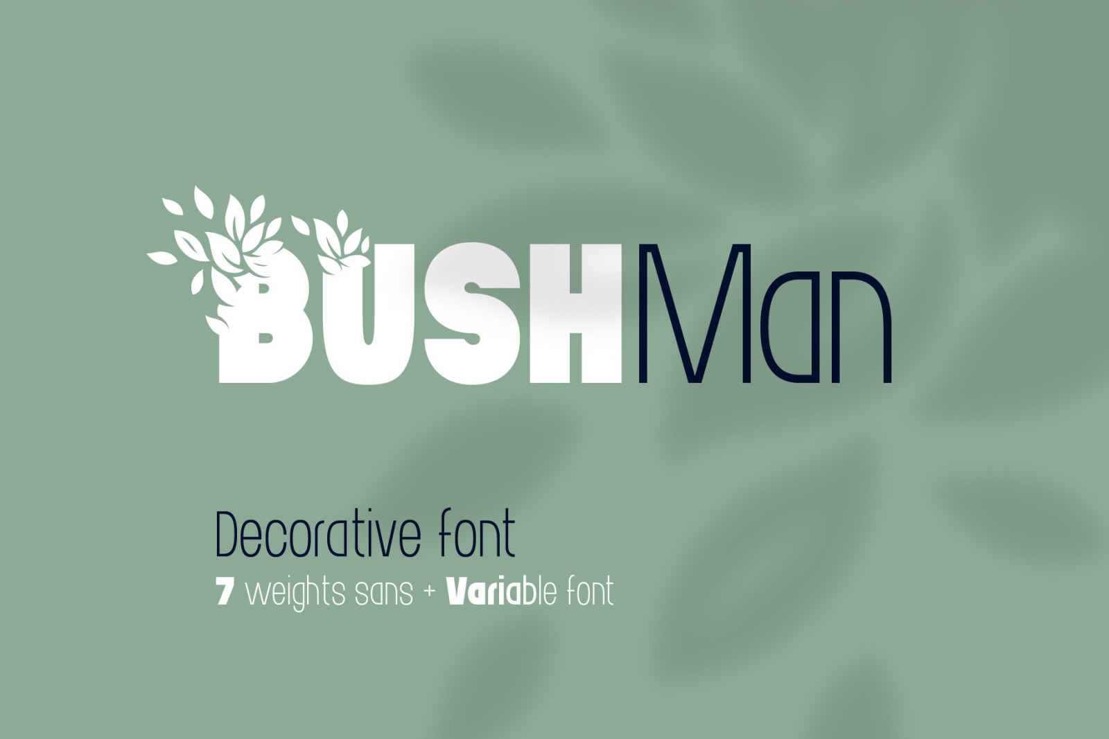 Bushman font set