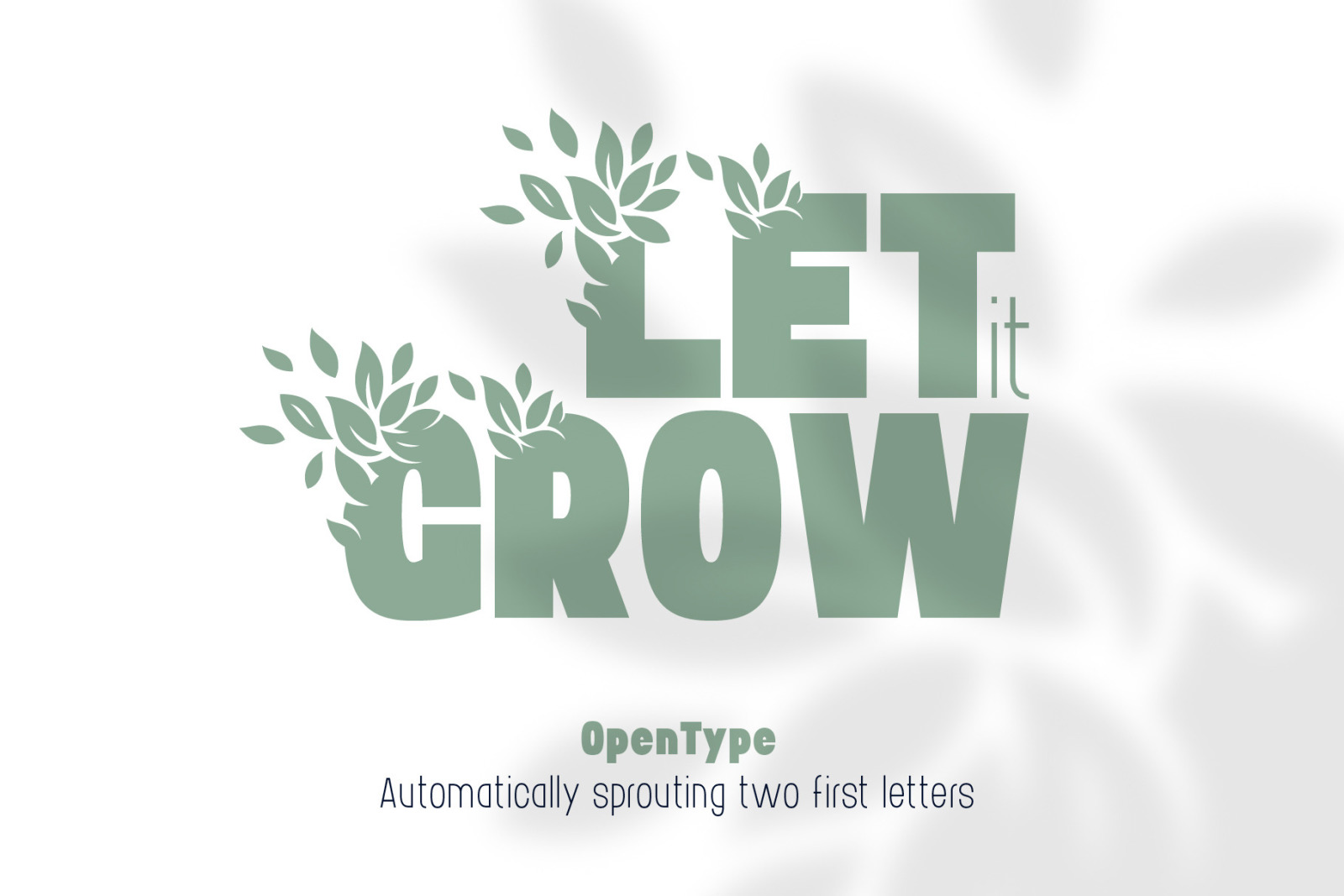 Bushman font set Bushman font set