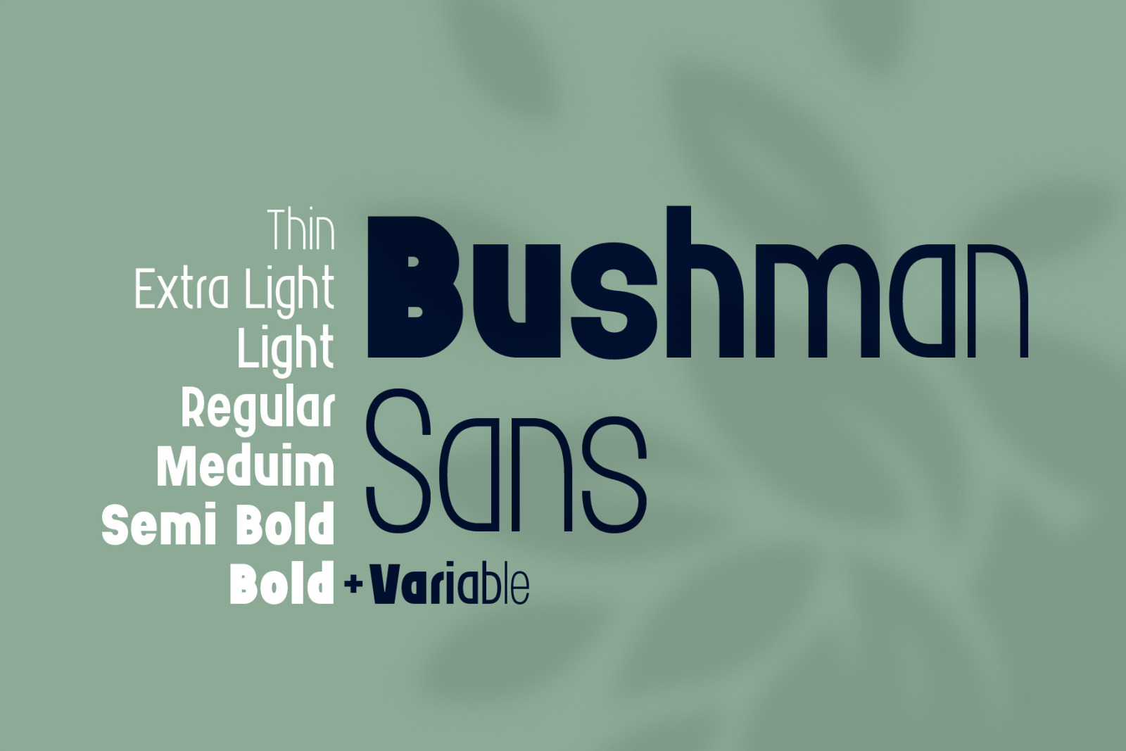 Bushman font set