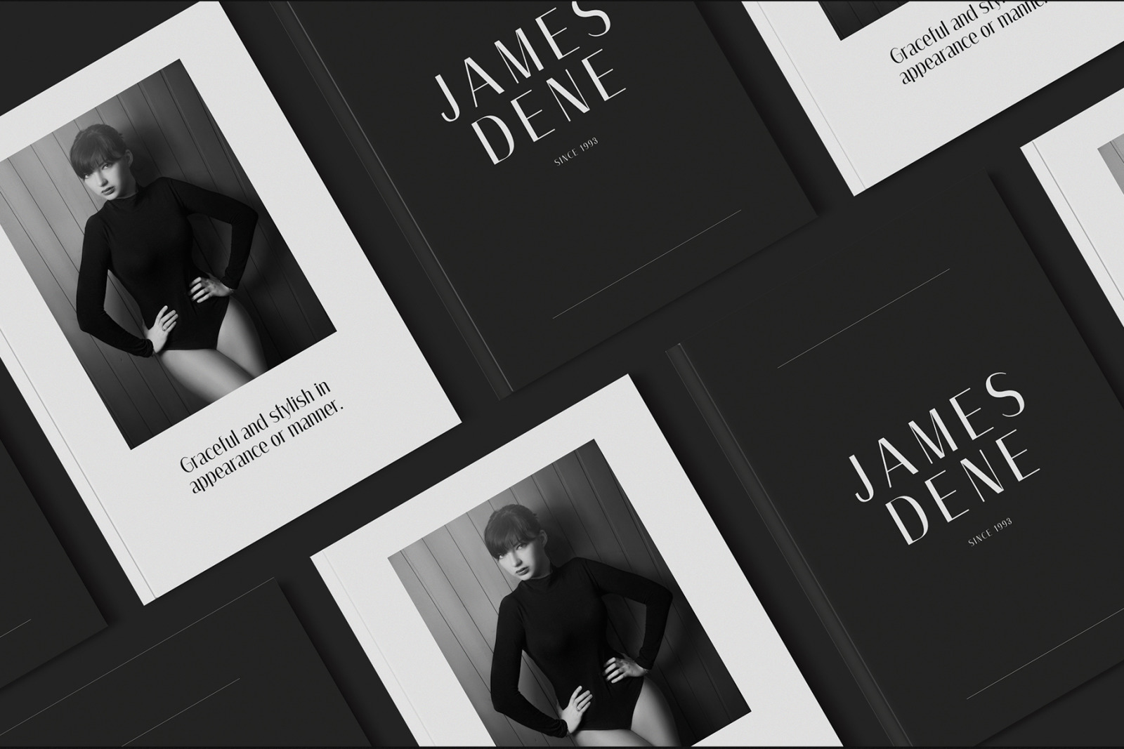 AMOS: A Modern Sans Serif AMOS: A Modern Sans Serif