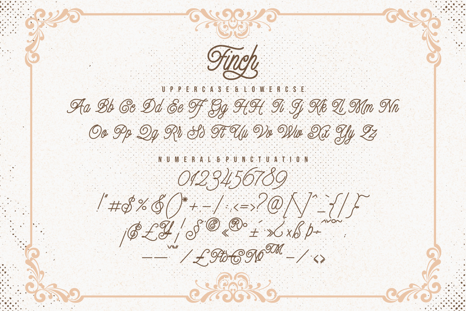 Finch - Monoline Script Font