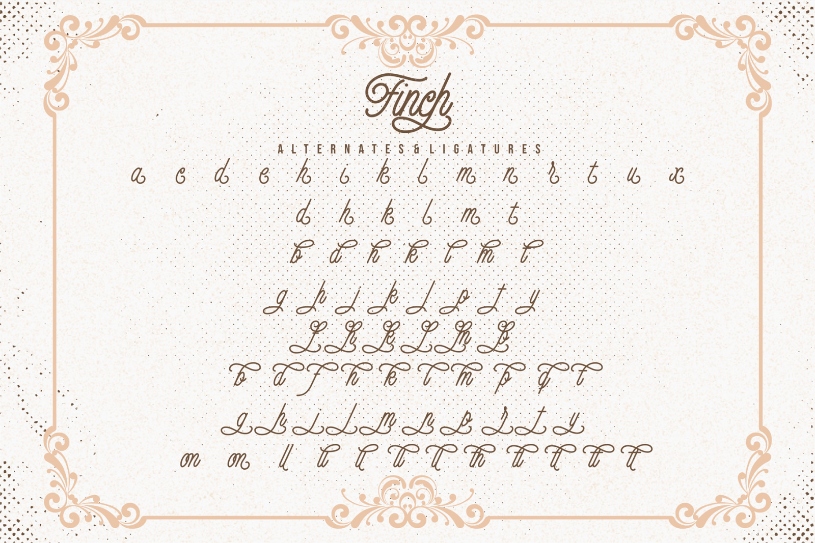 Finch - Monoline Script Font Finch - Monoline Script Font