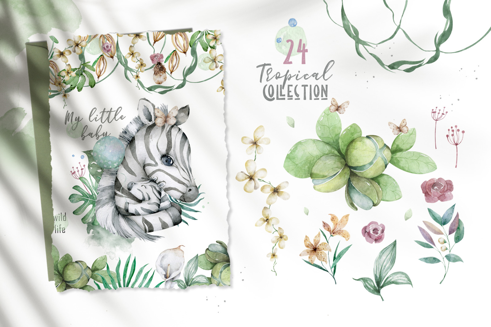 Cute Zebras Watercolor Jungle Cute Zebras Watercolor Jungle