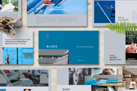 BLOES-PowerPoint Presentation - Newsletter