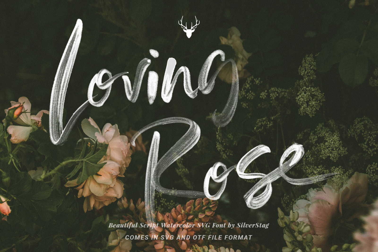 80% OFF Font Bundle - Limited Time Edition 80% OFF Font Bundle - Limited Time Edition