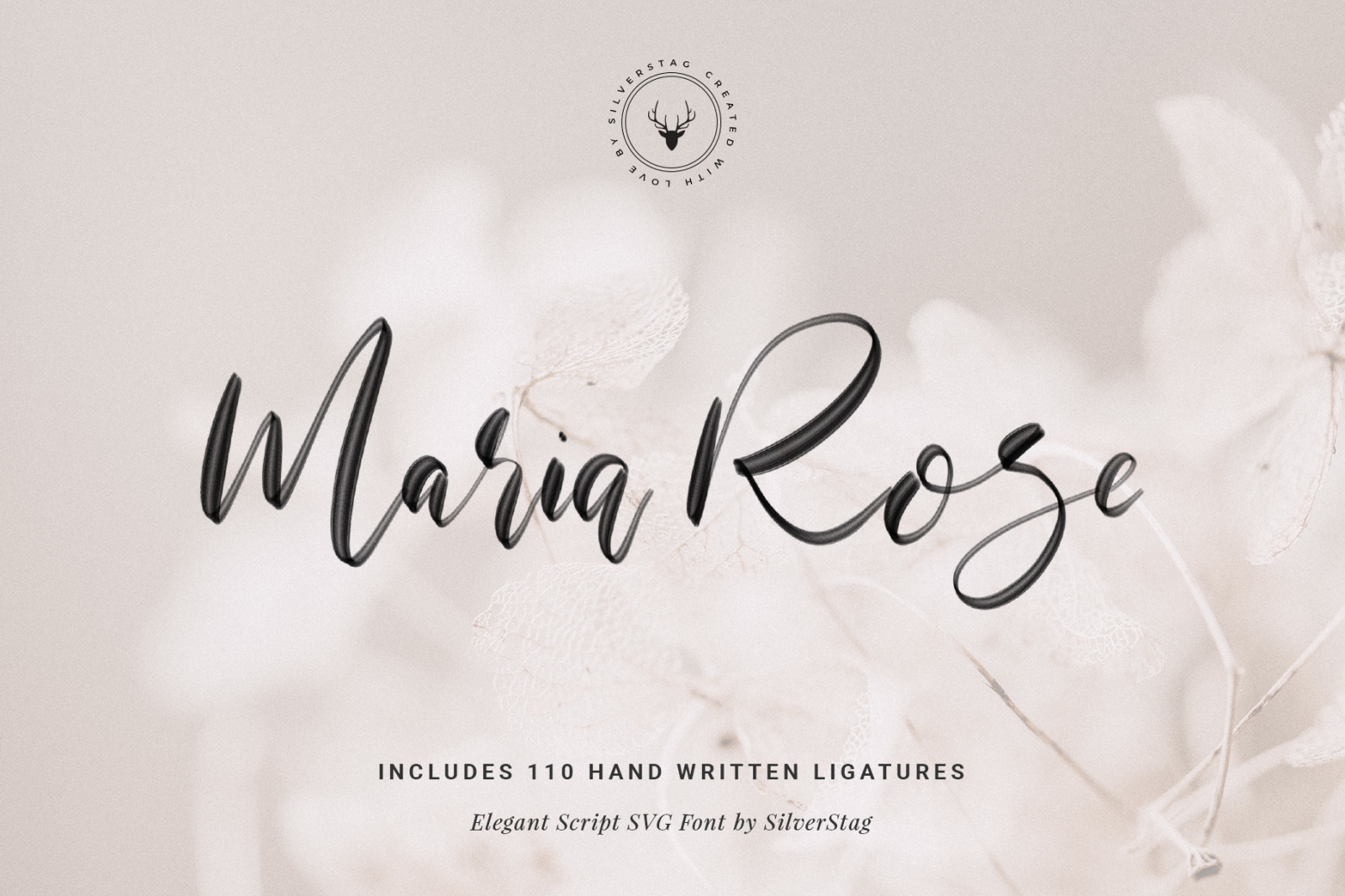 80% OFF Font Bundle - Limited Time Edition 80% OFF Font Bundle - Limited Time Edition