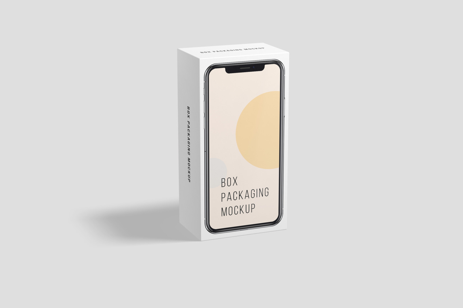 Box / Packaging Mockup Box / Packaging Mockup