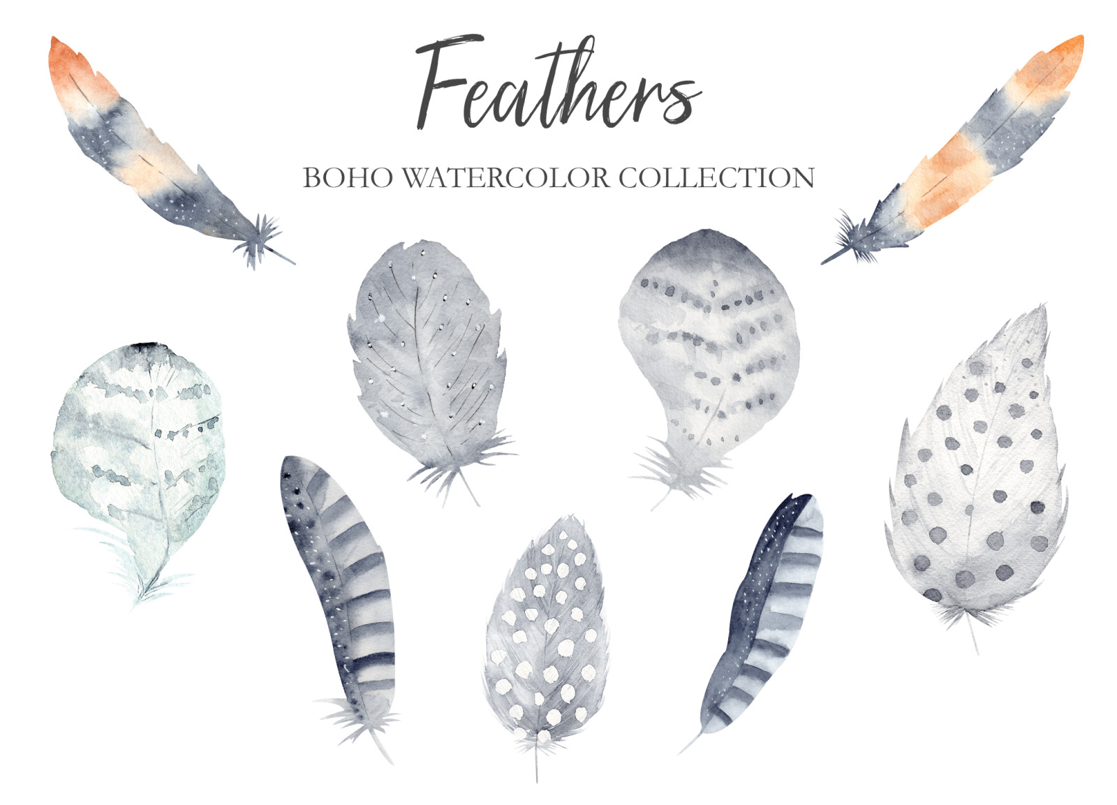 Watercolor Boho Feathers Collection Watercolor Boho Feathers Collection