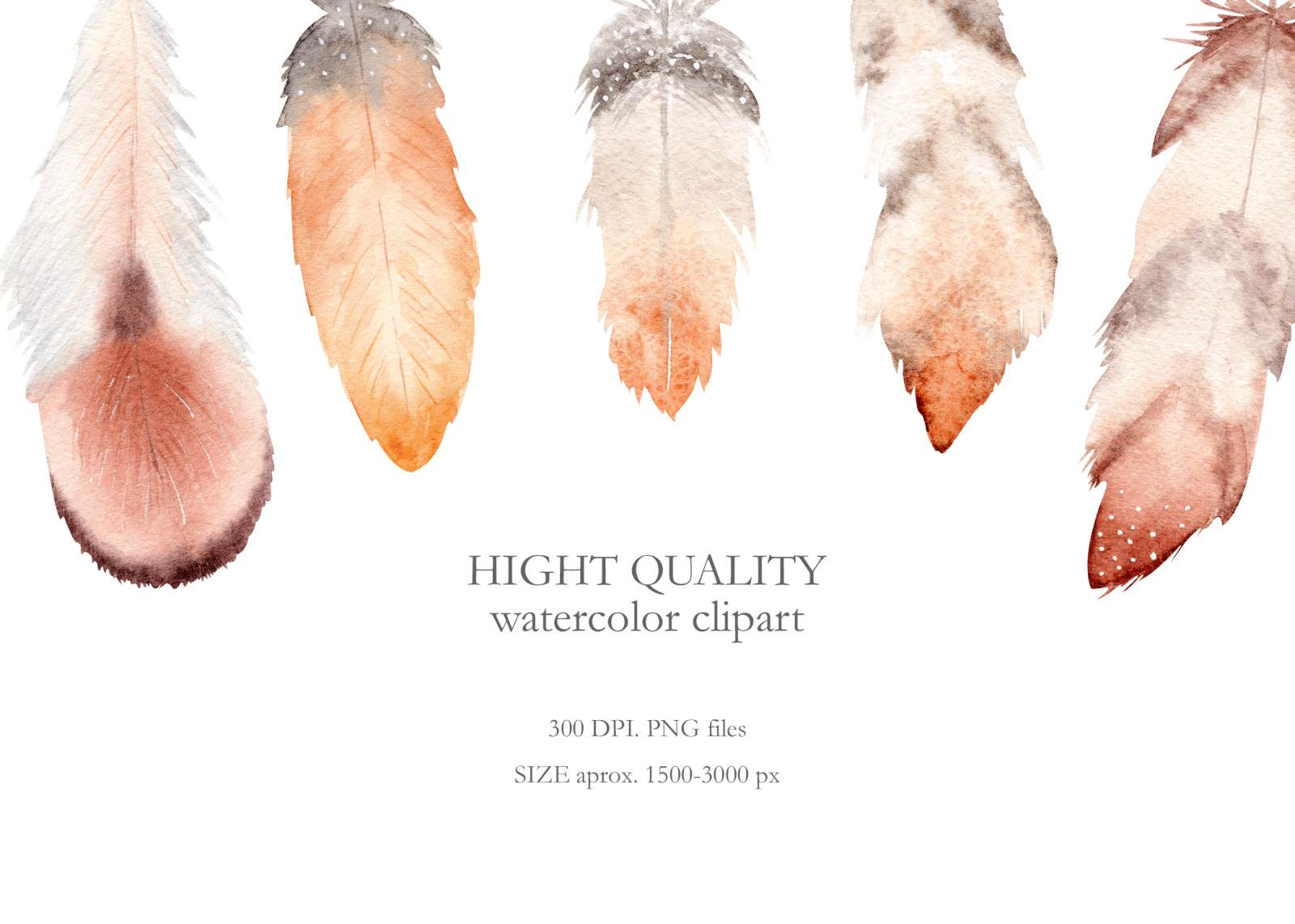 Watercolor Boho Feathers Collection Watercolor Boho Feathers Collection