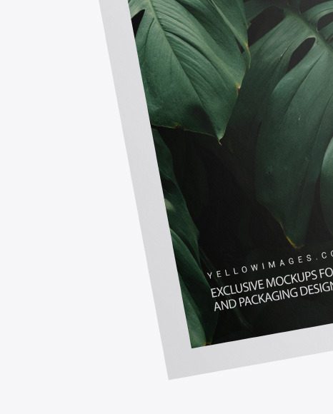 Poster w/ Pin Mockup