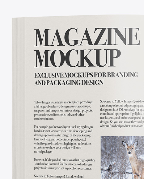 Magazine Mockup - Top View (Closed and Opened)