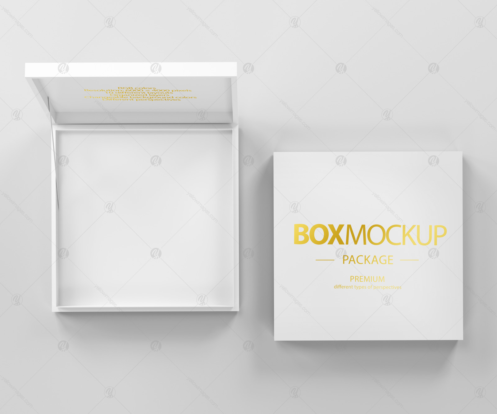 Box Package Mockup