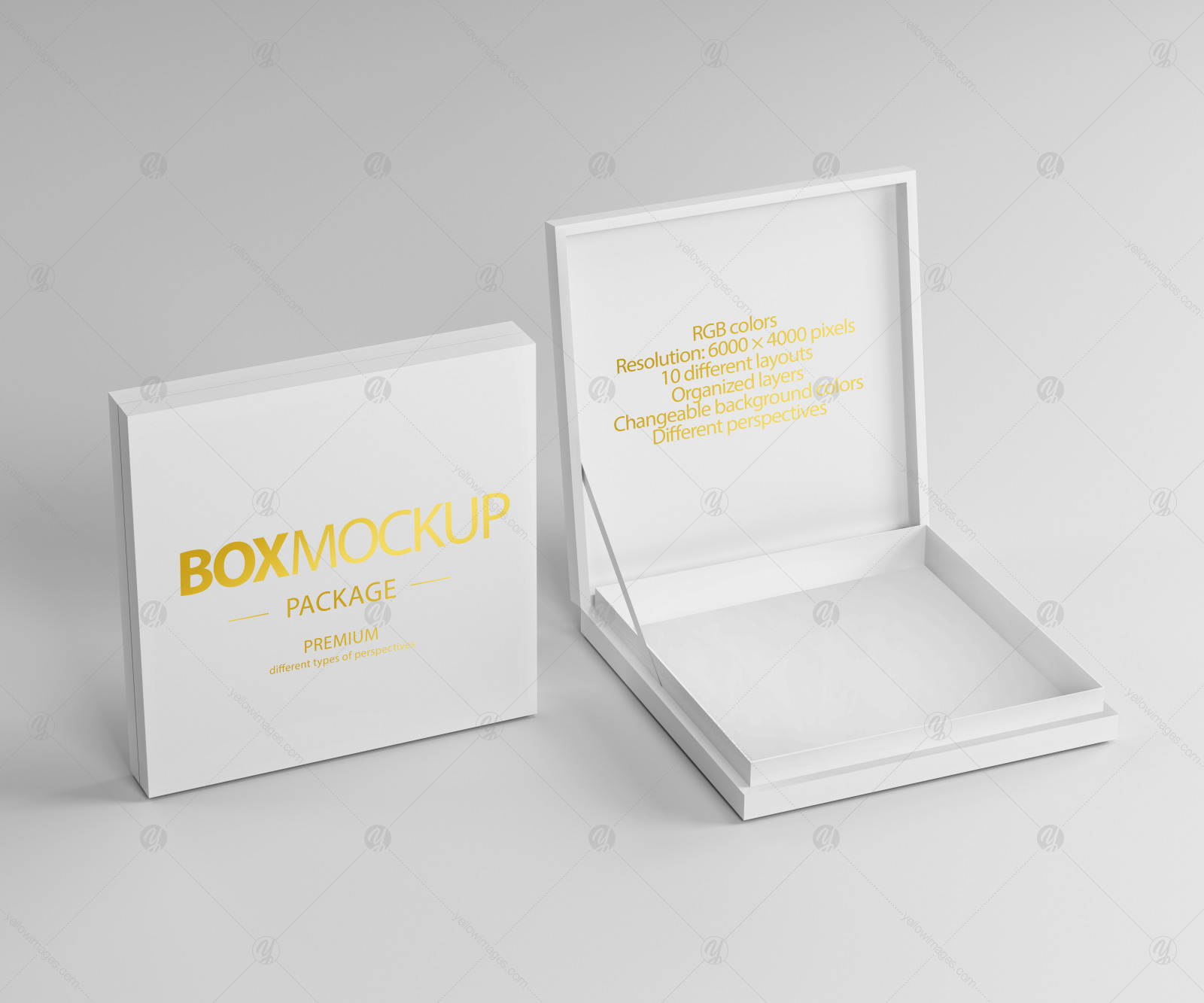 Box Package Mockup