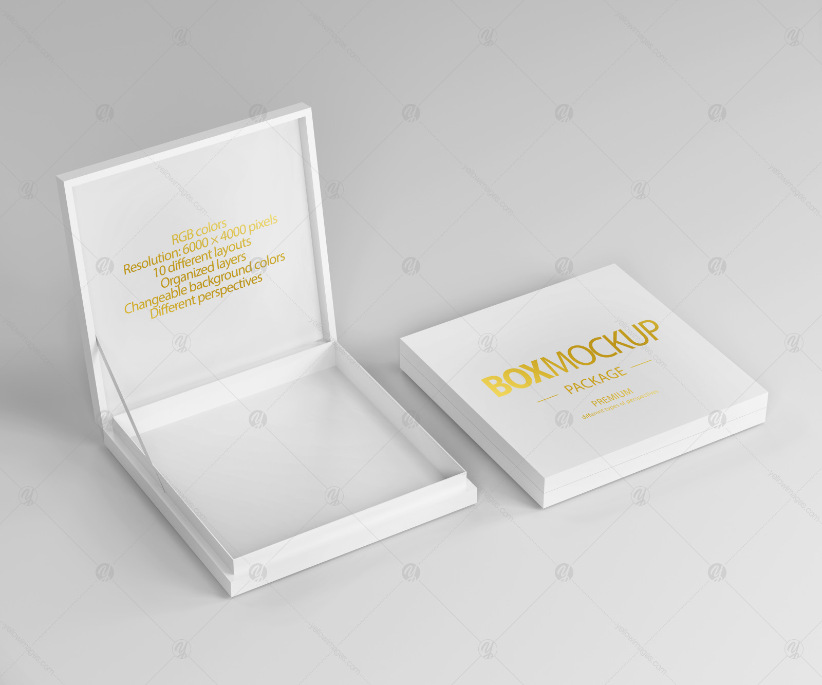 Box Package Mockup