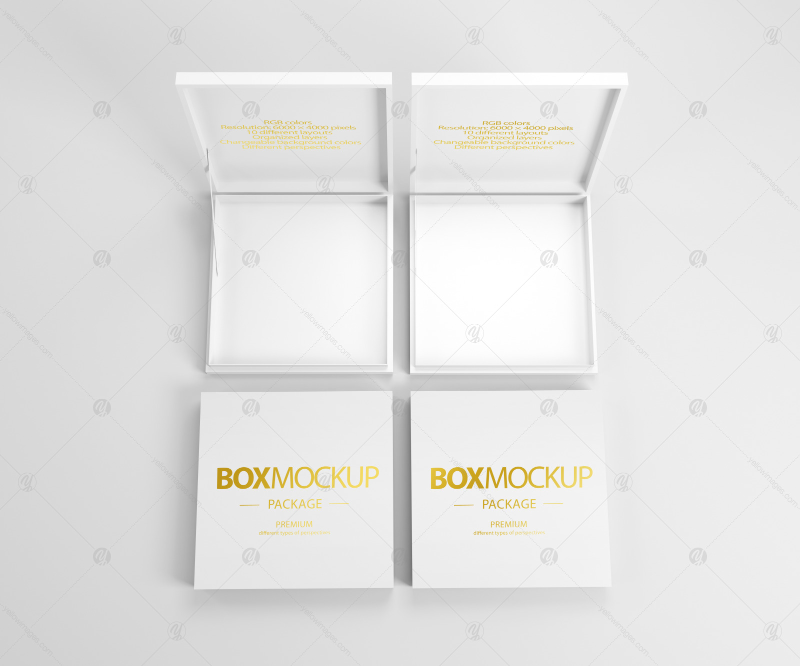 Box Package Mockup