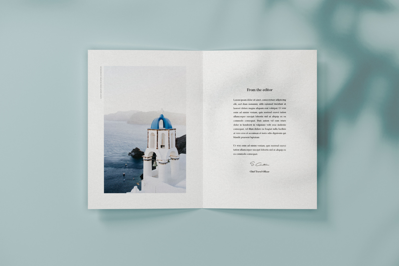Vertical Bifold Flyer Mockup Set Vertical Bifold Flyer Mockup Set