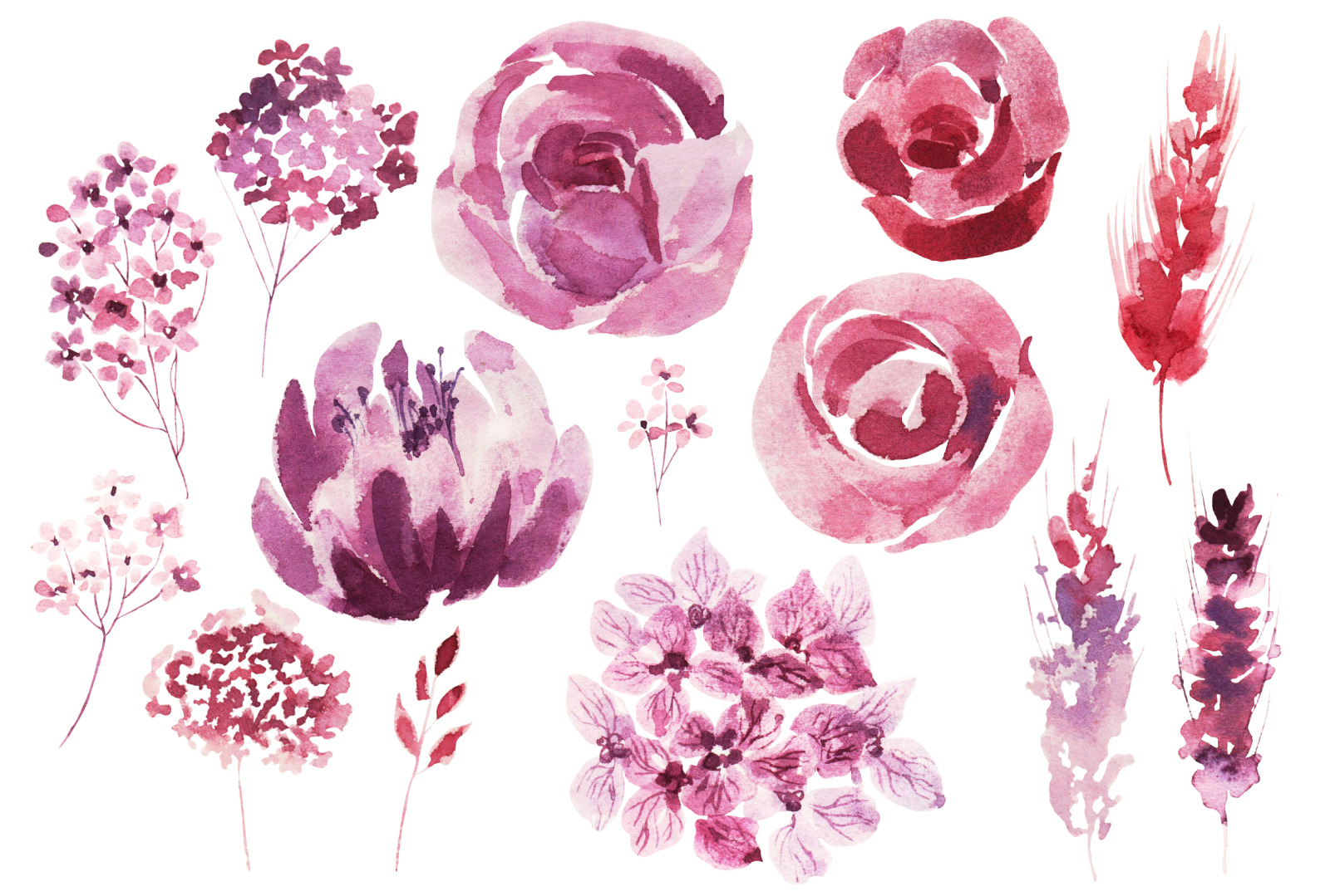 Beautiful Watercolor flowers