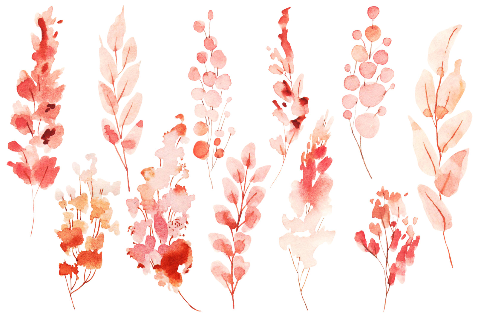 Beautiful Watercolor flowers