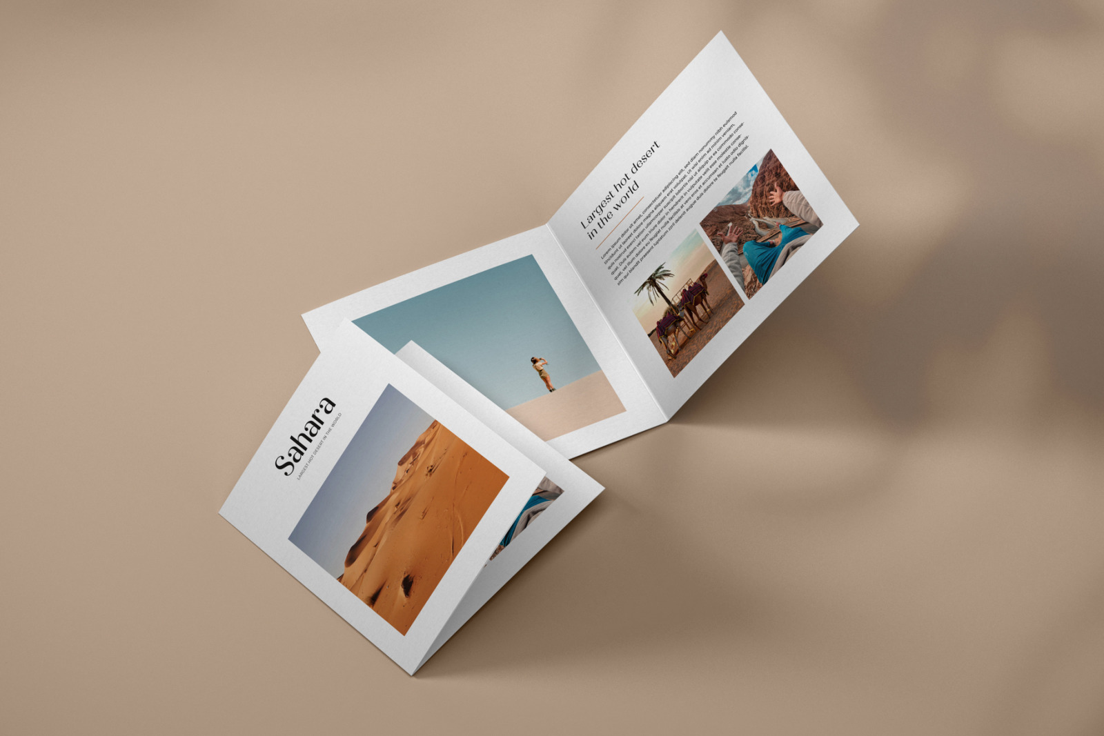 Square Bifold Flyer Mockup Set