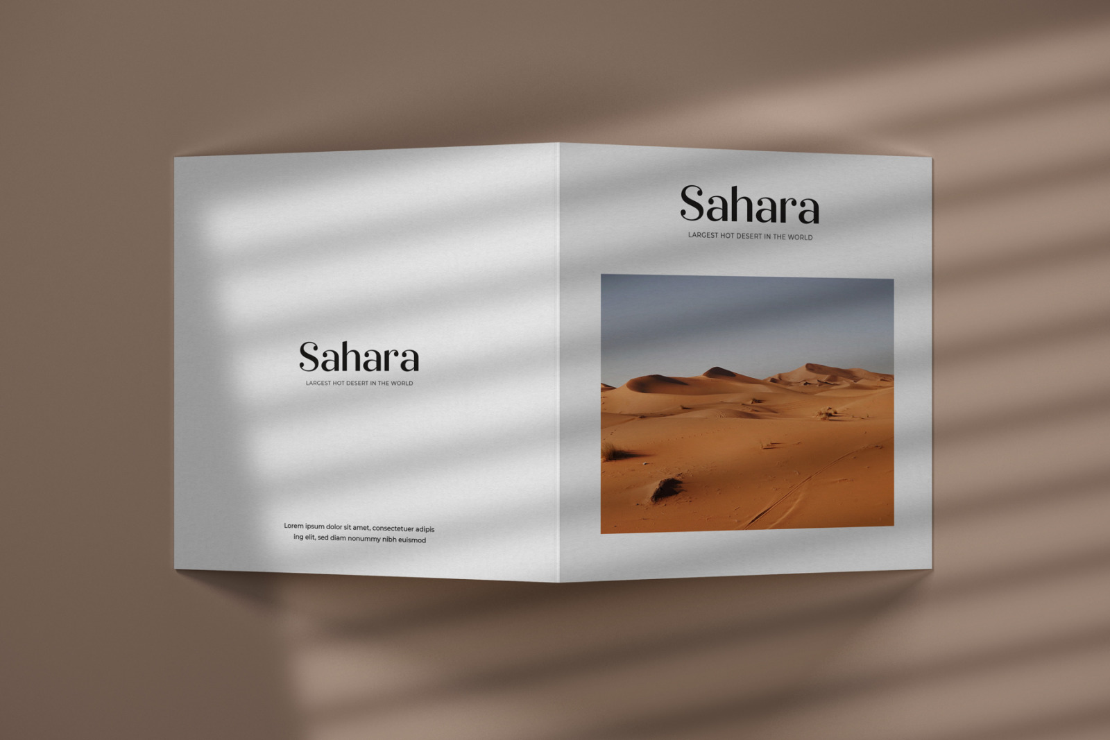 Square Bifold Flyer Mockup Set