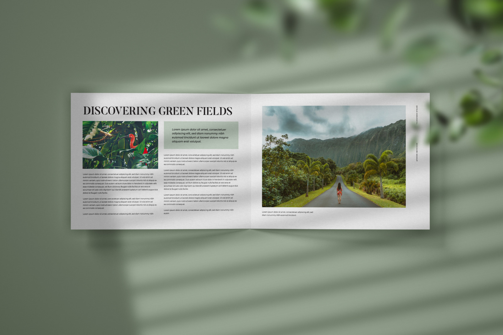 Horizontal Bifold Brochure Mockup Set Horizontal Bifold Brochure Mockup Set
