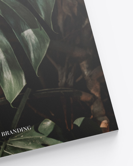 Matte Magazine Mockup