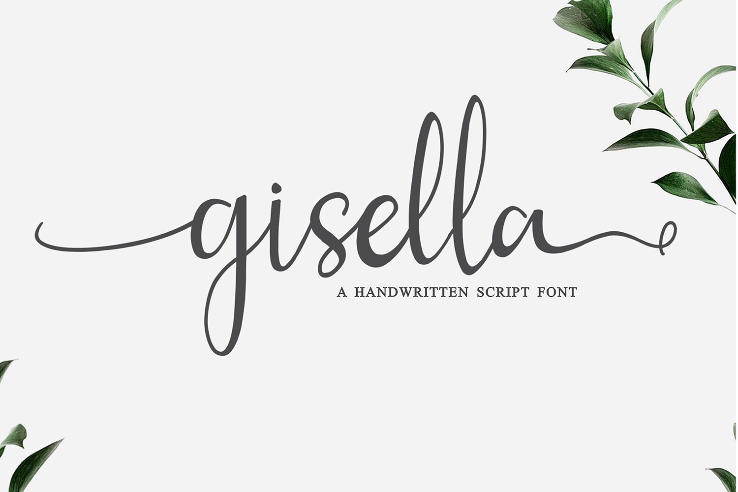 Gisella Gisella