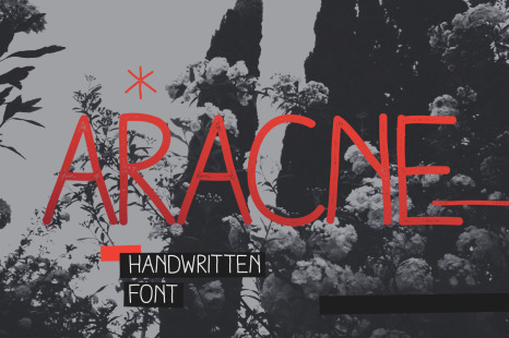 Aracne - Diacritics