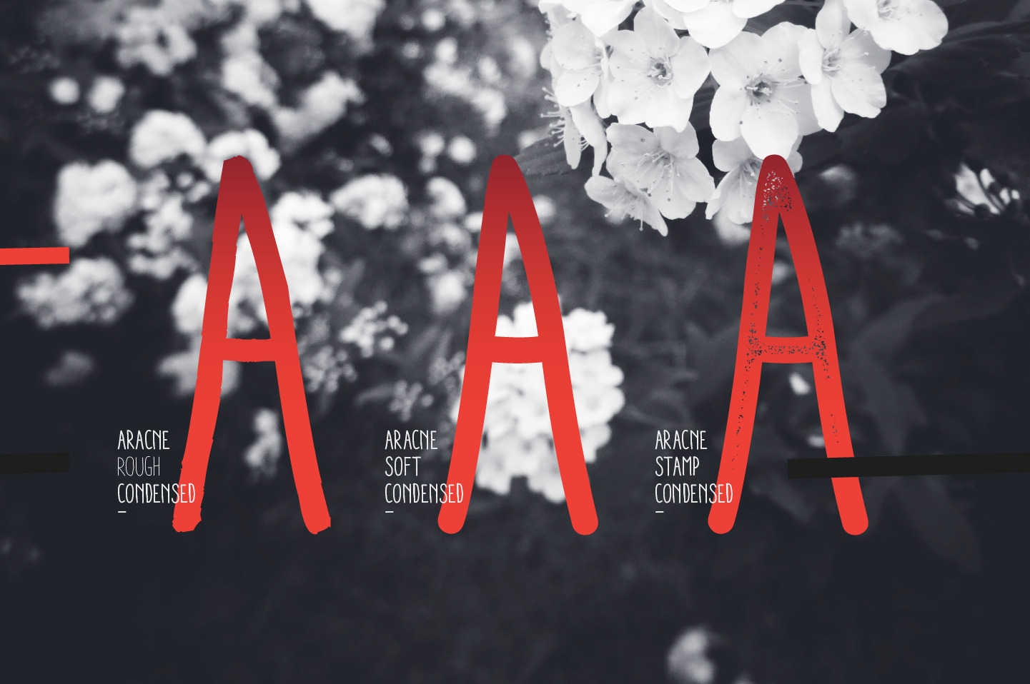 Aracne Condensed