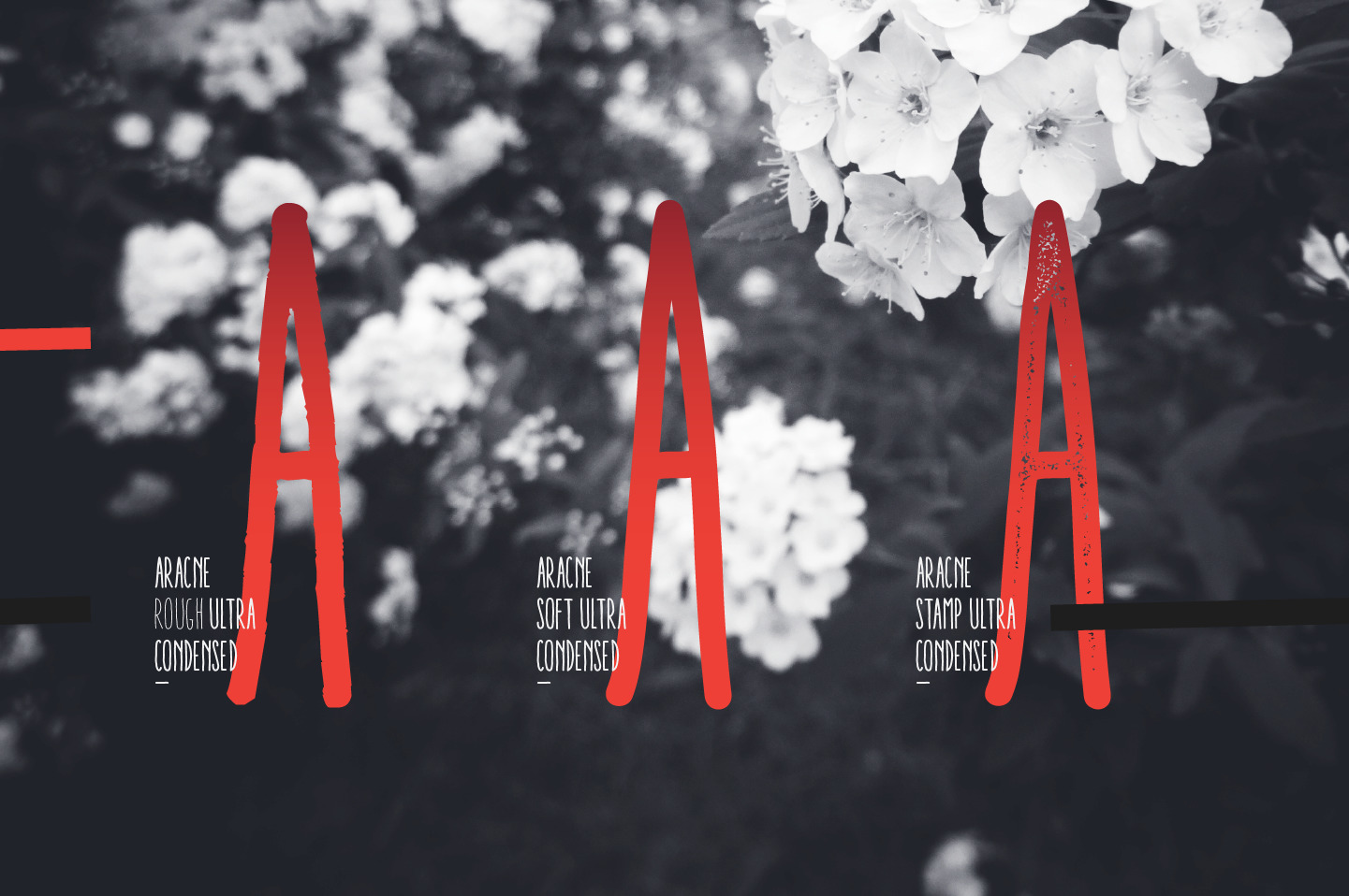Aracne Ultra Condensed Aracne Ultra Condensed