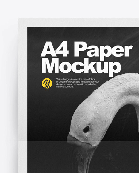 A4 Paper Mockup