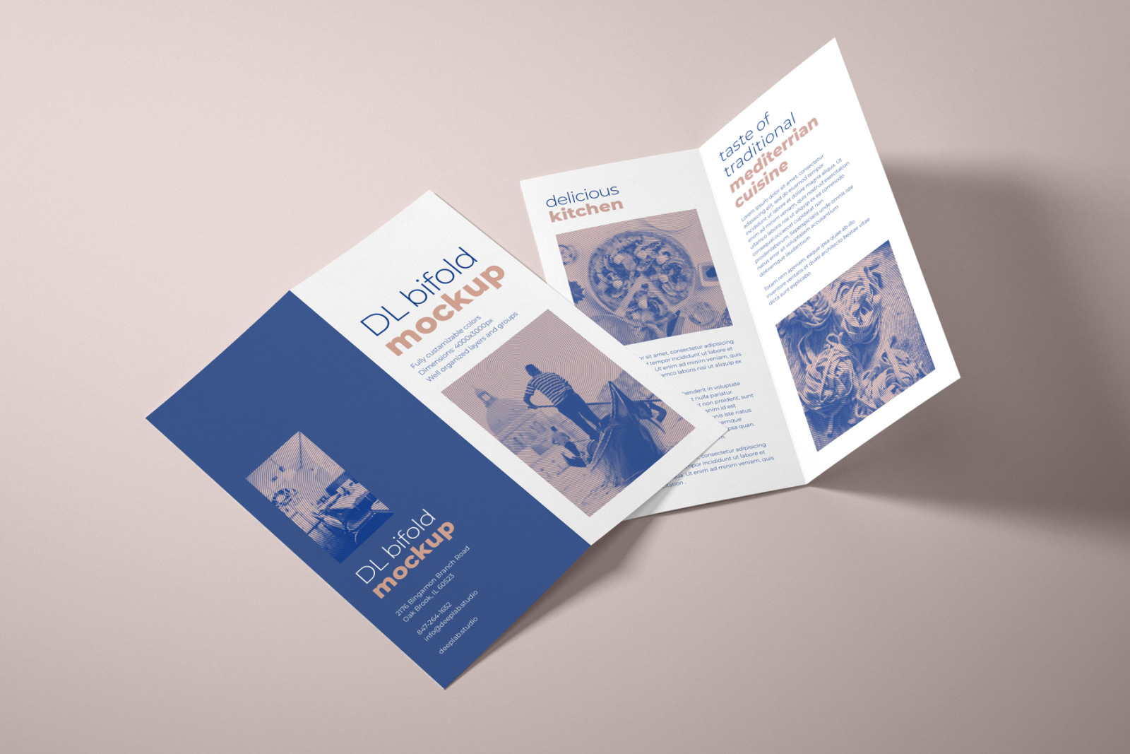 DL Bifold Brochure Mockup Set DL Bifold Brochure Mockup Set