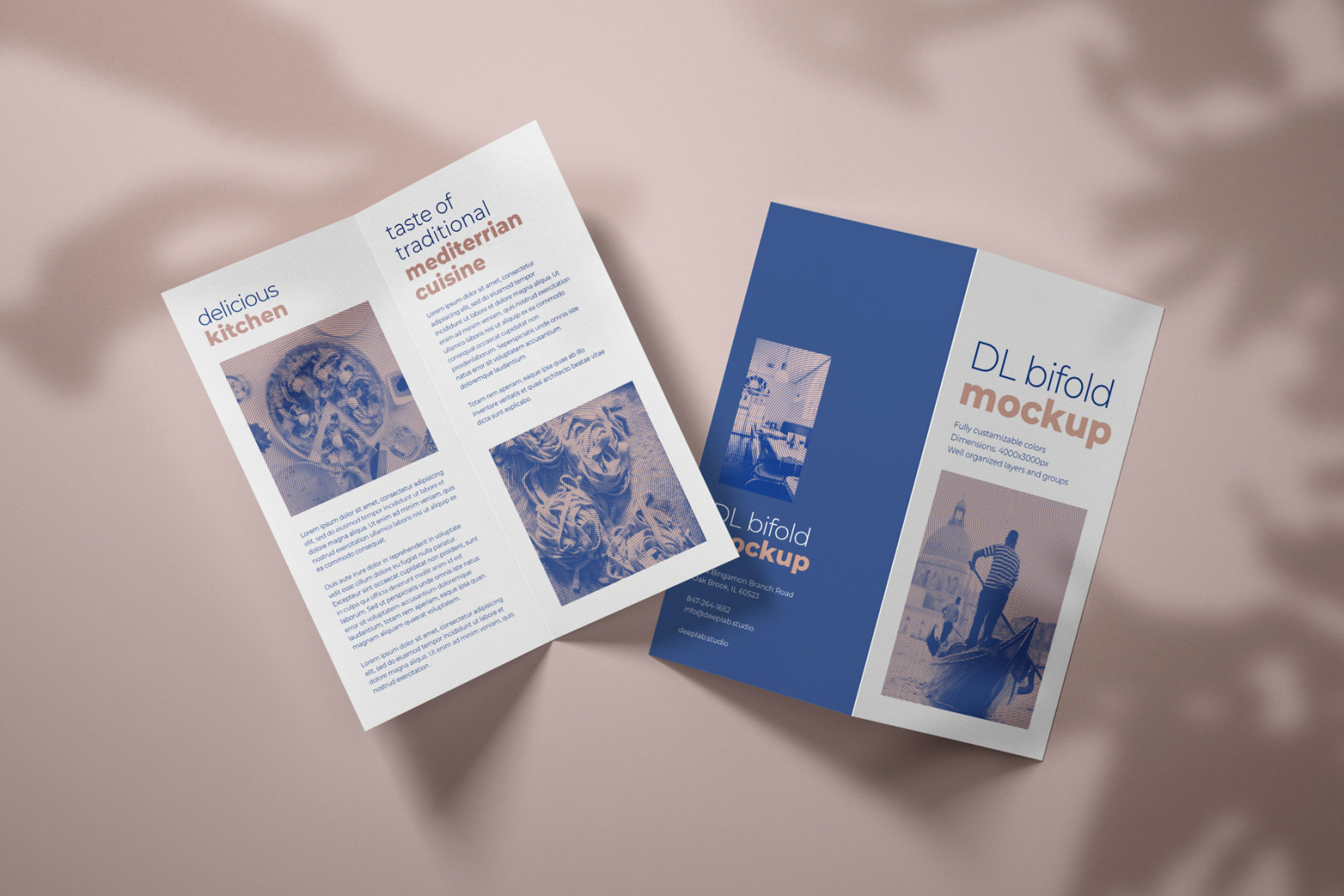 DL Bifold Brochure Mockup Set DL Bifold Brochure Mockup Set