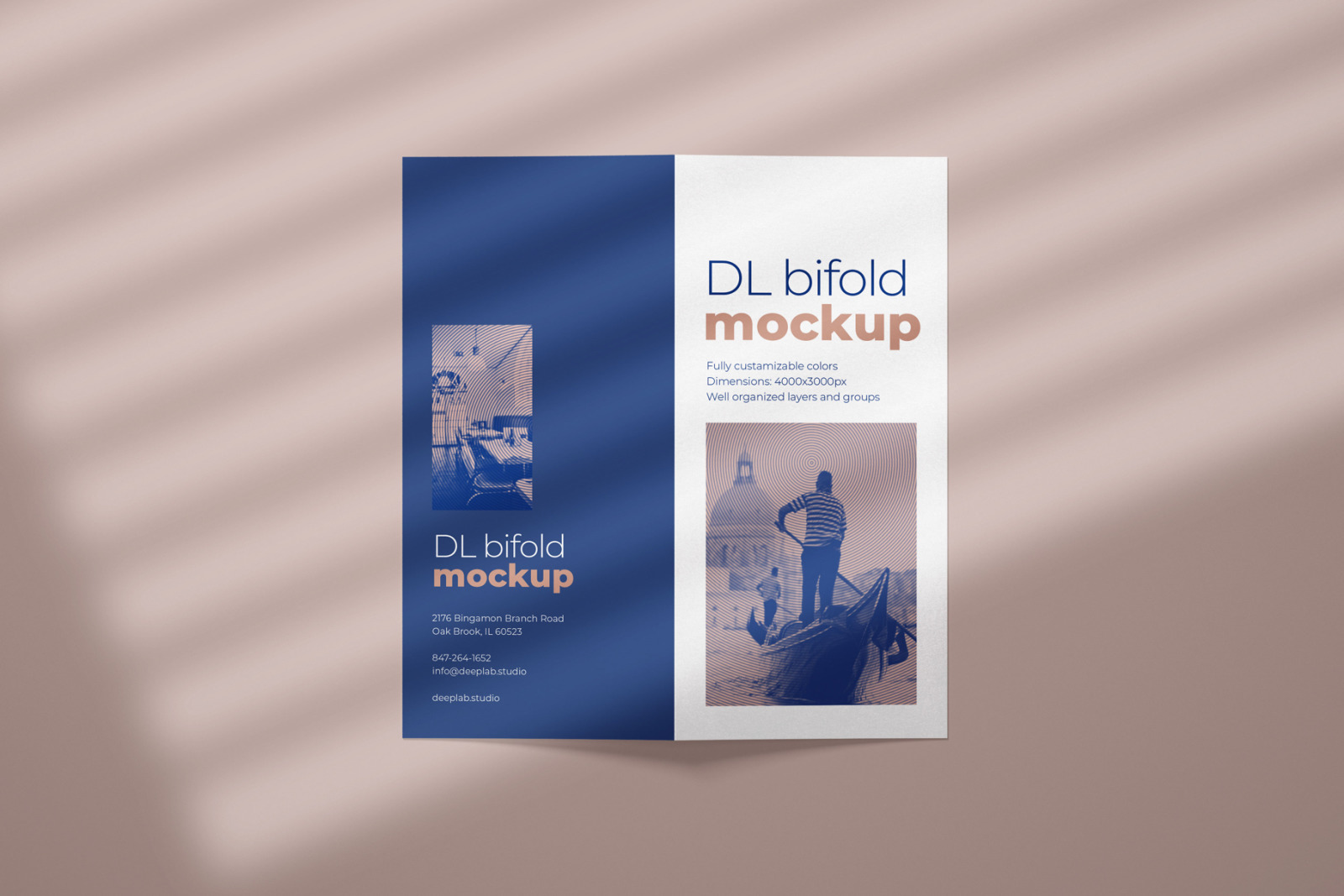 DL Bifold Brochure Mockup Set