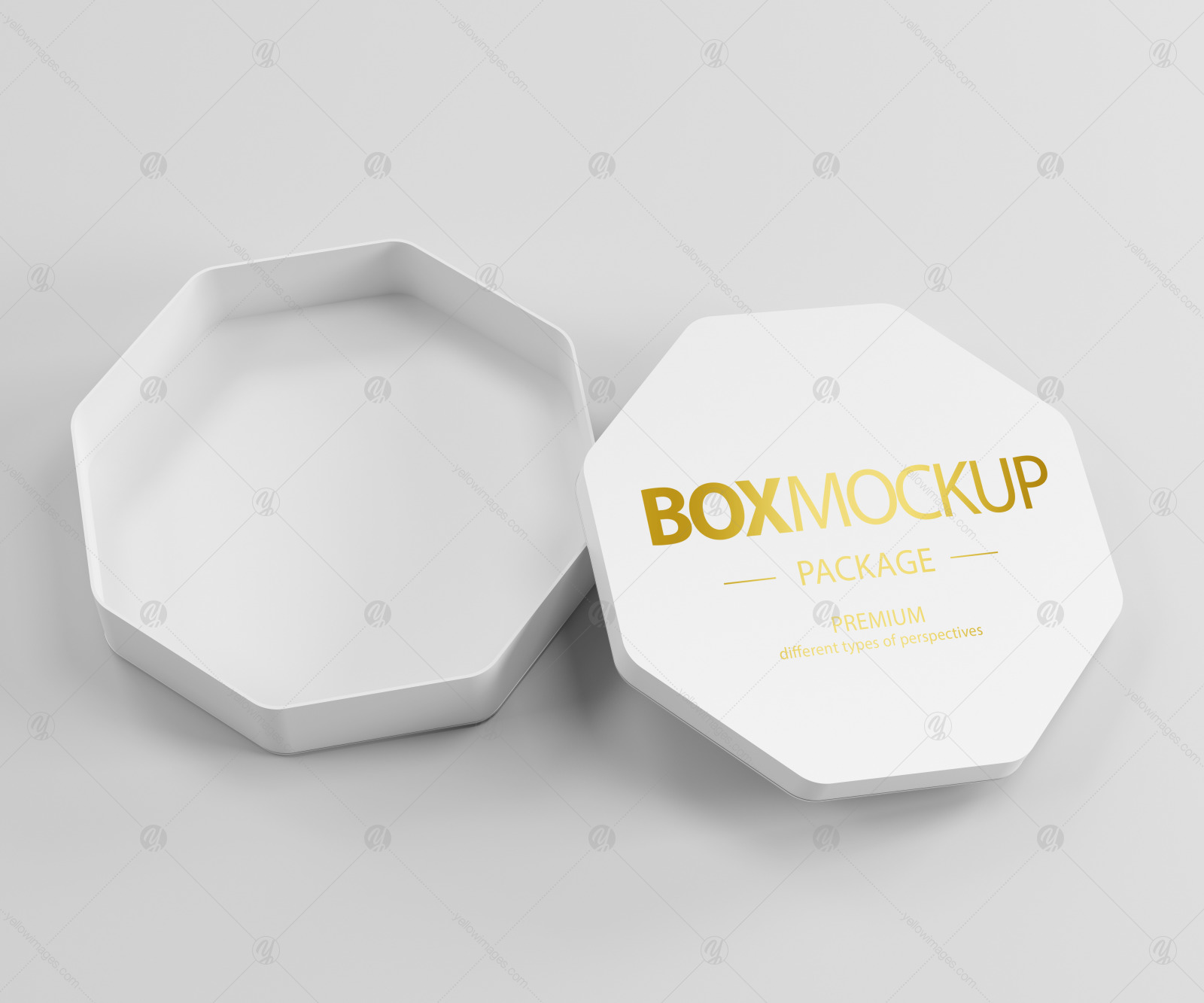 Box Package Mockup