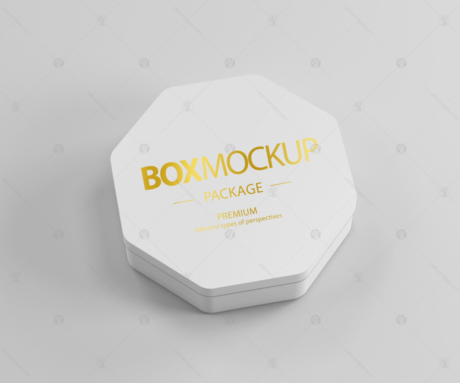 Box Package Mockup