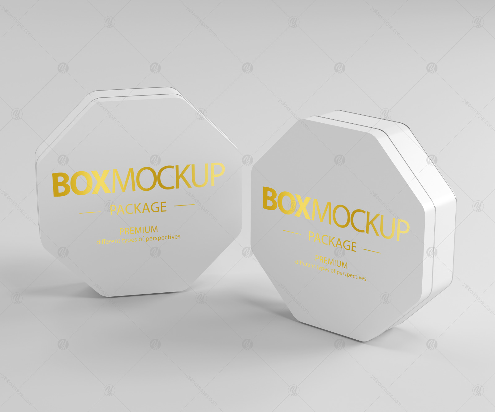 Box Package Mockup